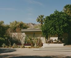 palm springs garden by John Sharp and modernist architecture