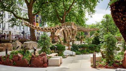 Natural History Museum gardens and Fern the dinosaur
